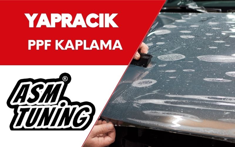 Yapracık PPF Kaplama